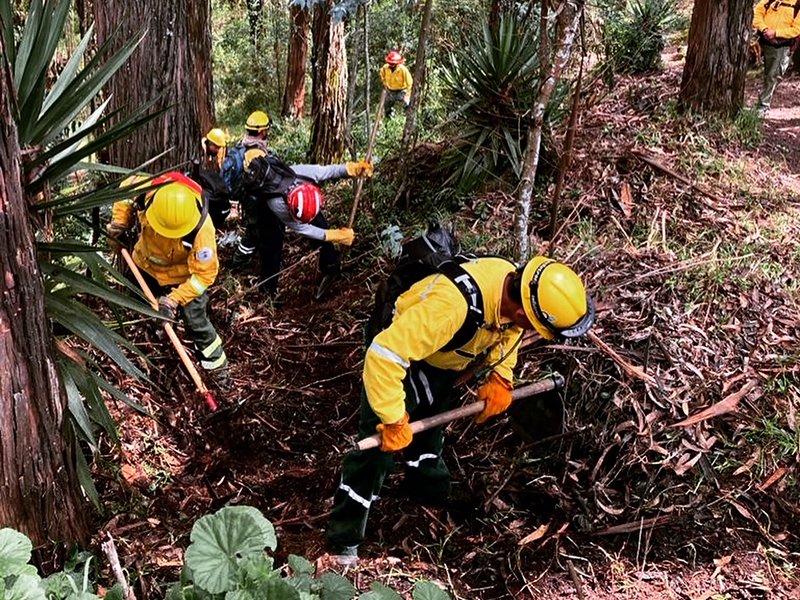 El manejo integral del fuego: Más allá de la supresión