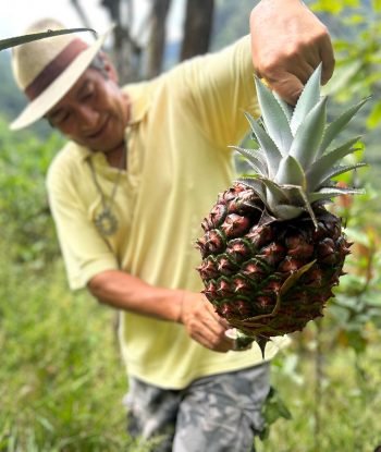 Alder-Forest-Solutions-Desarrollo-Sostenible-Redes-Globales-Sobre-Nosotros-Cultivo